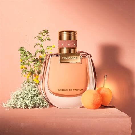 chloe nomade parfum preisvergleich|chloe nomade perfume online.